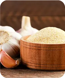 Dehydrated vegetables and spices export - Geminate International 5